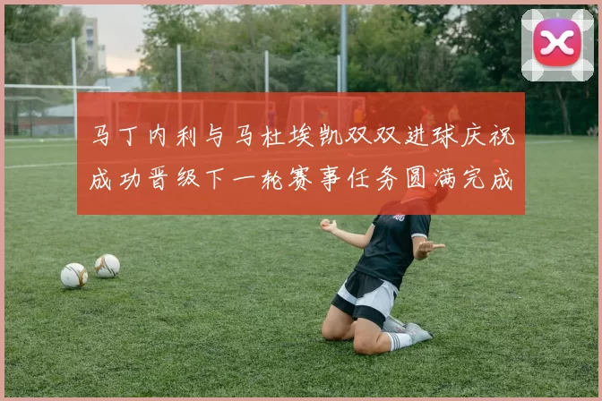 马丁内利与马杜埃凯双双进球庆祝成功晋级下一轮赛事任务圆满完成